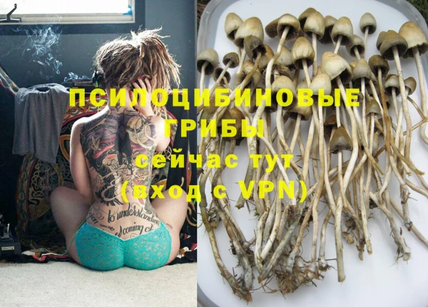 MESCALINE Пересвет