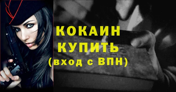 Альфа ПВП Пестово